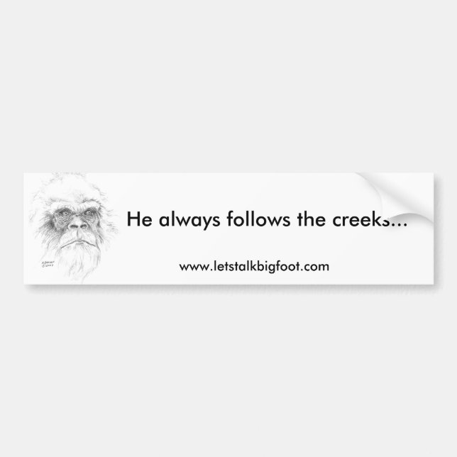 Autoaufkleber (Vorne)