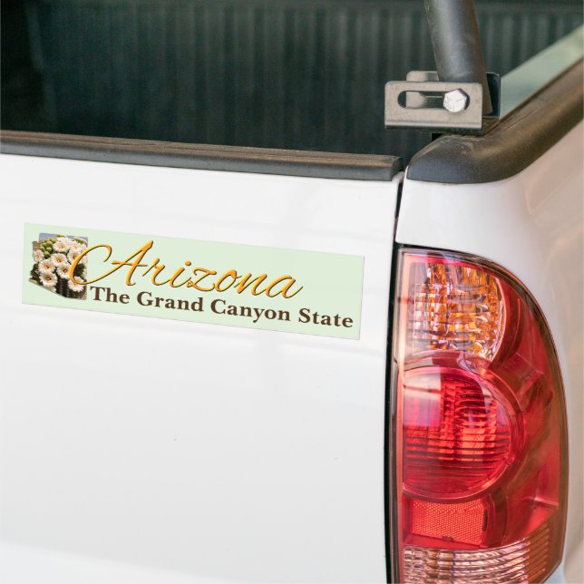 Autoaufkleber - ARIZONA (Auf Lkw)