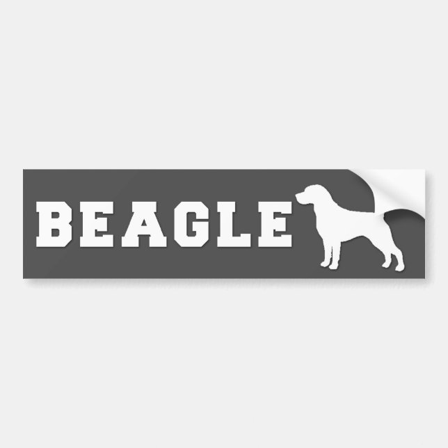 Autoaufkleber-Beagle - Grau Autoaufkleber (Vorne)