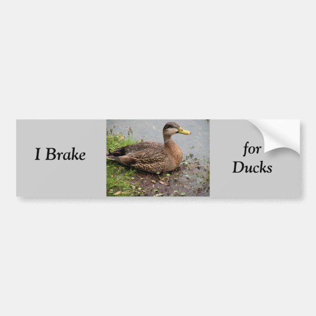 Autoaufkleber, Bremse für Enten Autoaufkleber (Vorne)