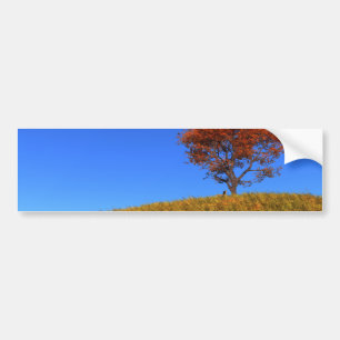 Autoaufkleber des Herbsttages löschen