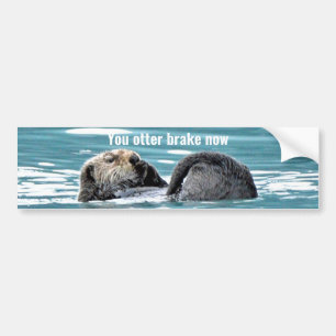 Autoaufkleber des Otters