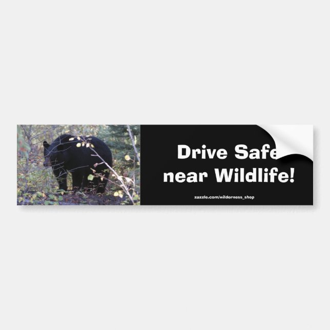 Autoaufkleber für die Sicherheit von Schwarzbären (Vorne)