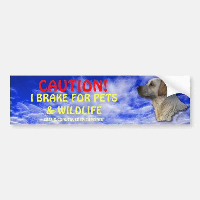 Autoaufkleber für die Tiergesundheit (Vorne)