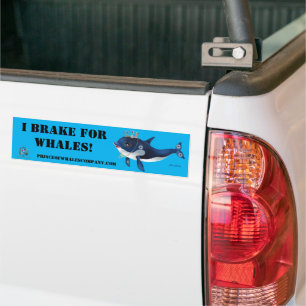 Autoaufkleber Prinzessin starr I Bremse für Wale