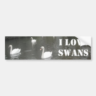 Autoaufkleber Schwänze Schwimmen, I Liebe Swans