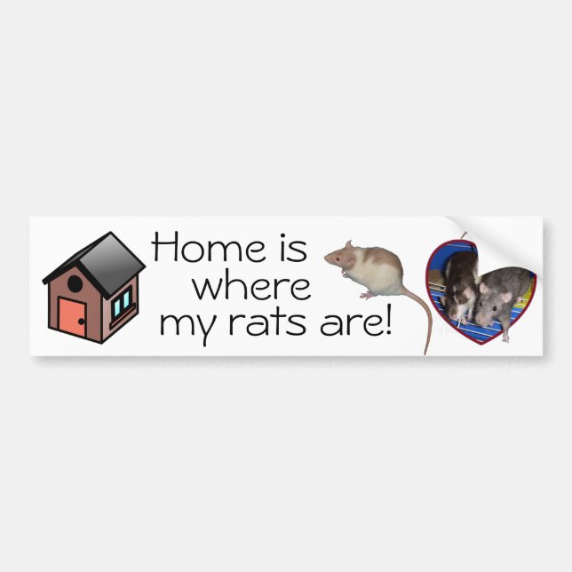 Autoaufkleber: Zuhause ist, wo meine Ratten sind! Autoaufkleber (Vorne)