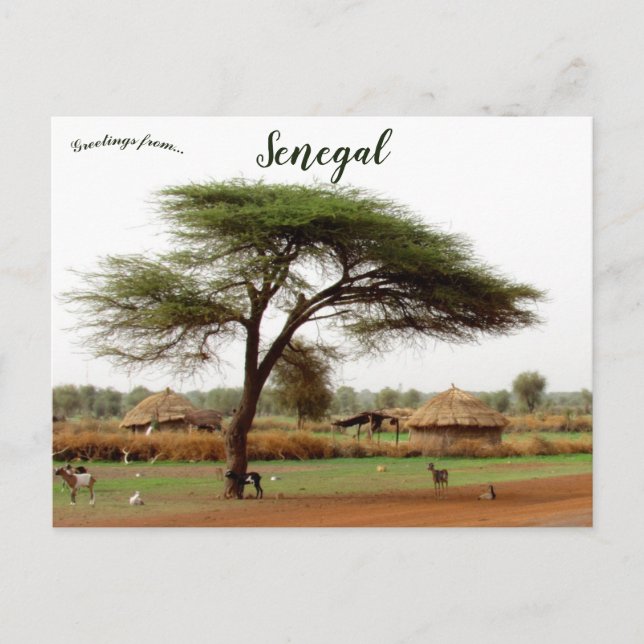 Autobahn zwischen Ouro Sogui und Orkadiéré Senegal Postkarte (Vorderseite)
