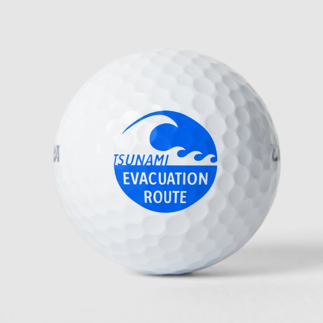 Autobahnschild Evakuierung Golfball (Vorderseite)