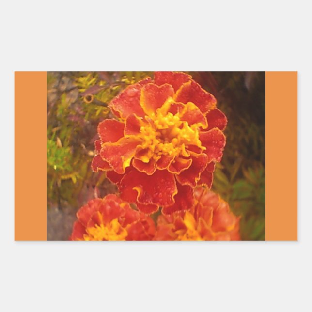 Autocollant à mâchoires orange Marigold Fall (Devant)