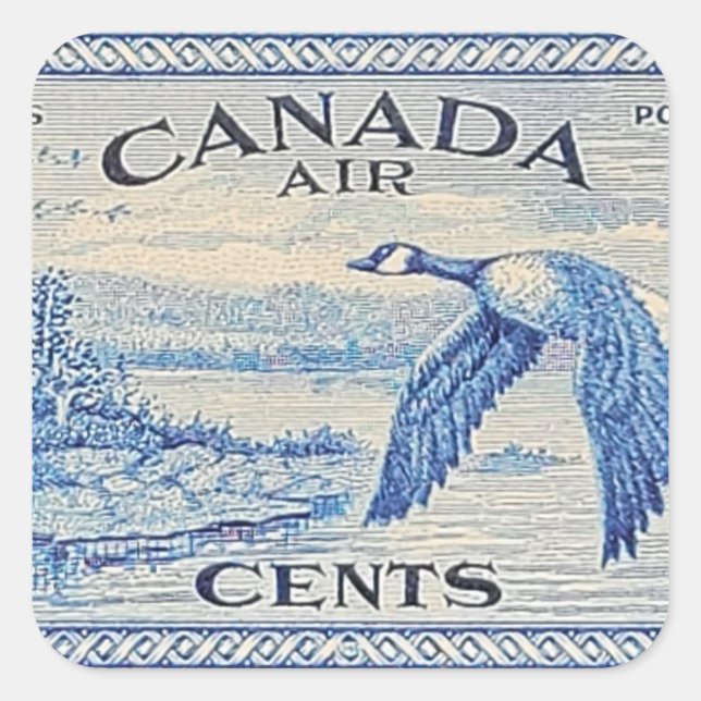 Autocollant à oies canadiennes (Devant)