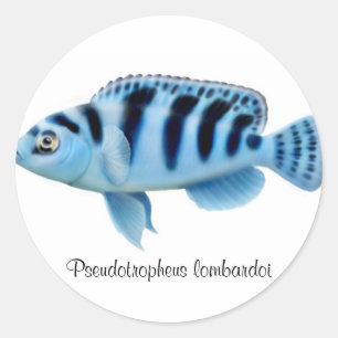 Autocollant africain de Cichlid de lombardoi de