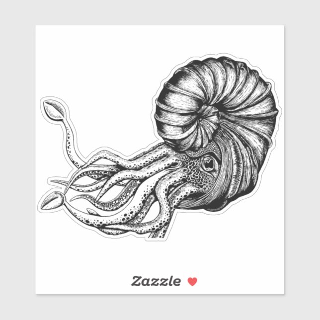 Autocollant ammonite (Feuille)