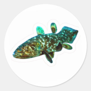 Autocollant artistique Coelacanthe Poisson Roi Anc
