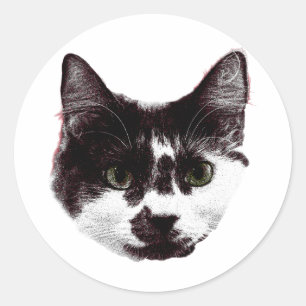 Autocollant avec un Regard Fixe Autocollant de C