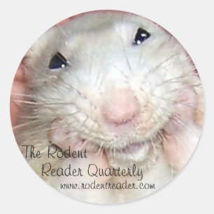 Autocollant B de Bridget de rat d'animal familier