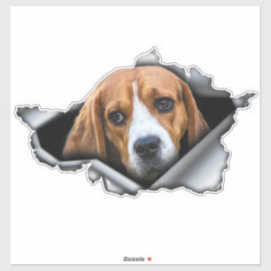autocollant beagle, aimant Beagle, autocollant Bea