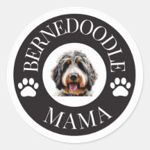 Autocollant Bernedoodle Mama