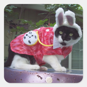 Autocollant blanc de lapin