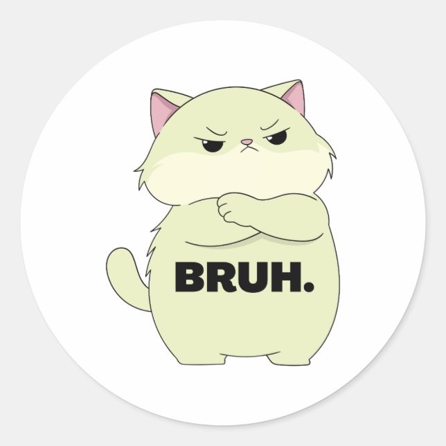 Autocollant Bruh Kitty (Devant)