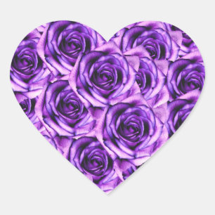 Autocollant cardiaque Rose violet