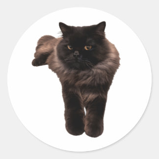 Autocollant Chat Noir à Poils Longs Fluffy - Mon C