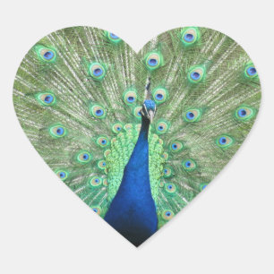 Autocollant (cheval) - Coq