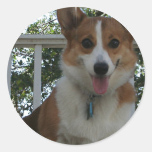 Autocollant Chien Chien Chien Chien Corgi