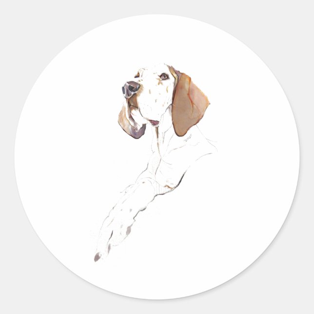 Autocollant Chien Pointer Anglais (Devant)