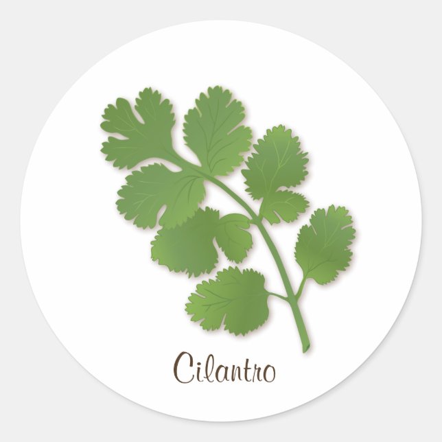 Autocollant Cilantro (Devant)