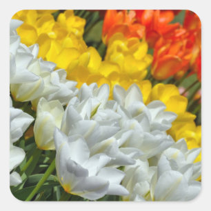 Autocollant coloré de tulipes de ressort