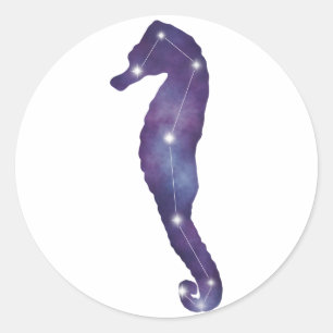 Autocollant Constellation Seahorse
