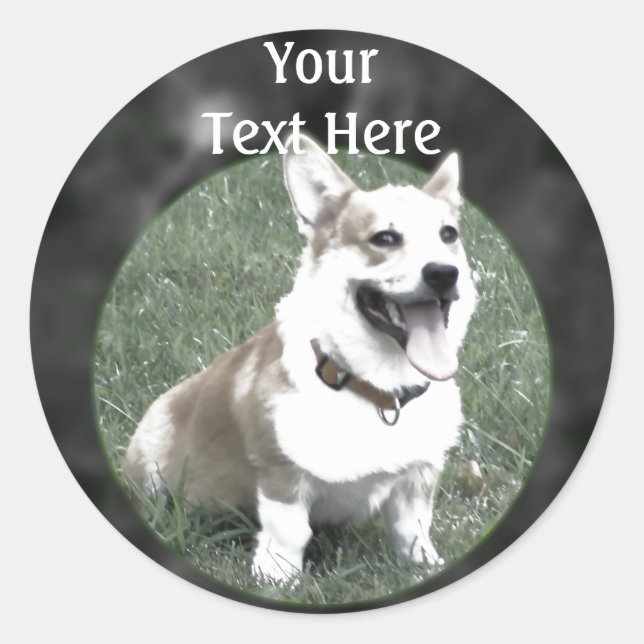 Autocollant Corgi (Devant)
