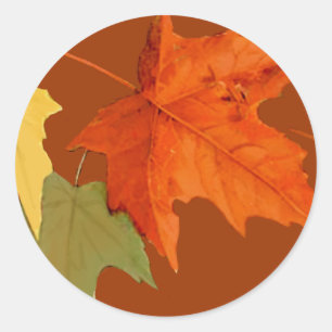 Autocollant couleur automne