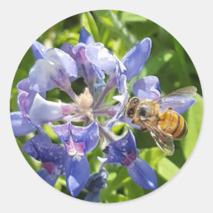 Autocollant d'abeille au miel
