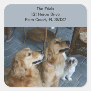 Autocollant d'adresse de golden retriever