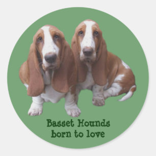 Autocollant d'amis de Basset Hound