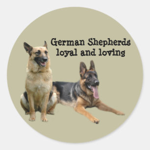 Autocollant d'amis de berger allemand