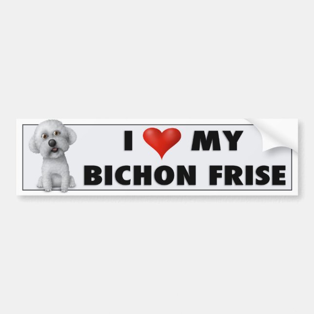 Autocollant d'amour de Bichon Frise (Devant)