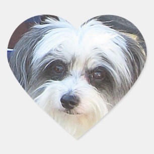 Autocollant d'amour de chiot