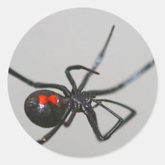 Autocollant d'araignée noire