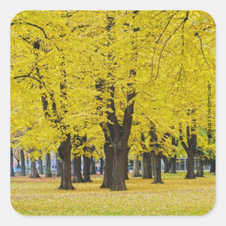 Autocollant d'automne
