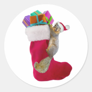 Autocollant de bas de Noël d'écureuil