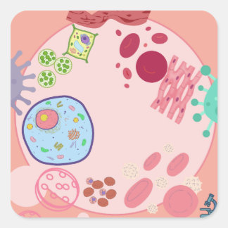 Autocollant de biologie cellulaire – Science de ce