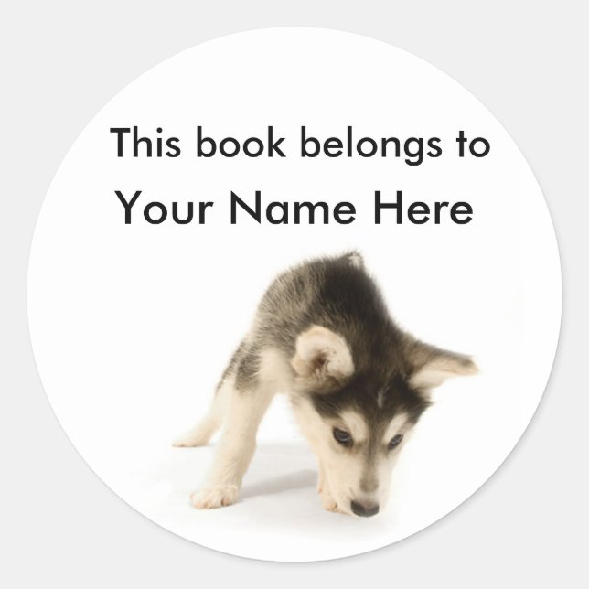 Autocollant de boîte Husky Puppy (Devant)