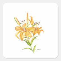 Autocollant de carré d'aquarelle de fleurs de tigr