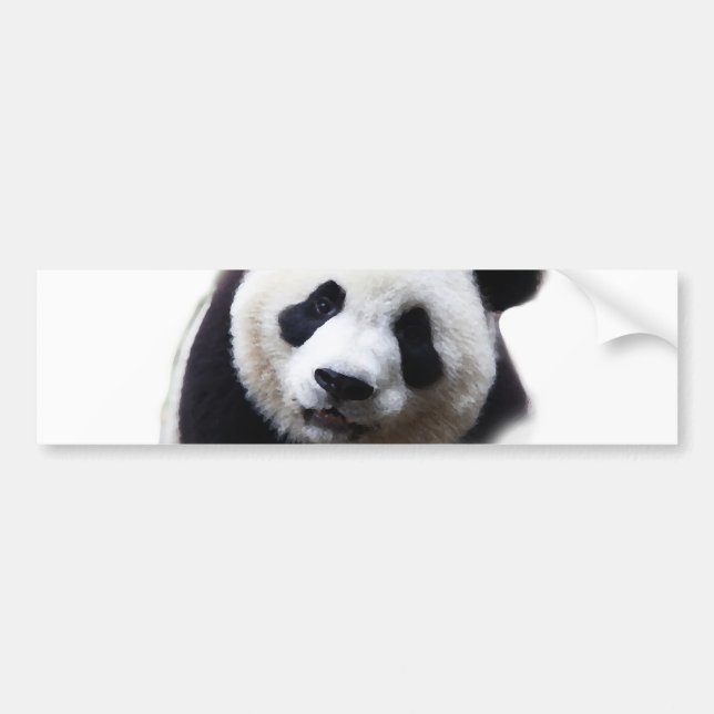 Autocollant de carrosserie avec gros plan de panda (Devant)