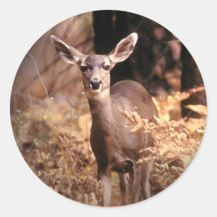 Autocollant de cerf