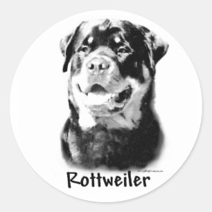 Autocollant de charbon de bois de rottweiler