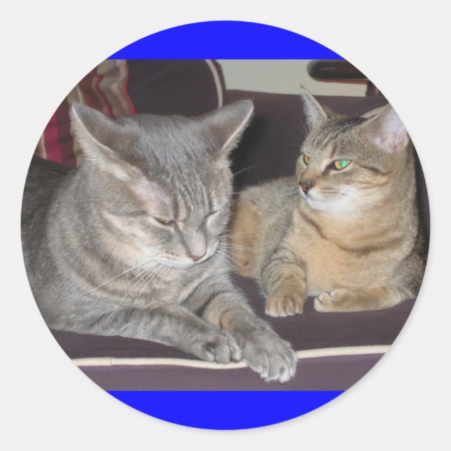 Autocollant de chat (Devant)